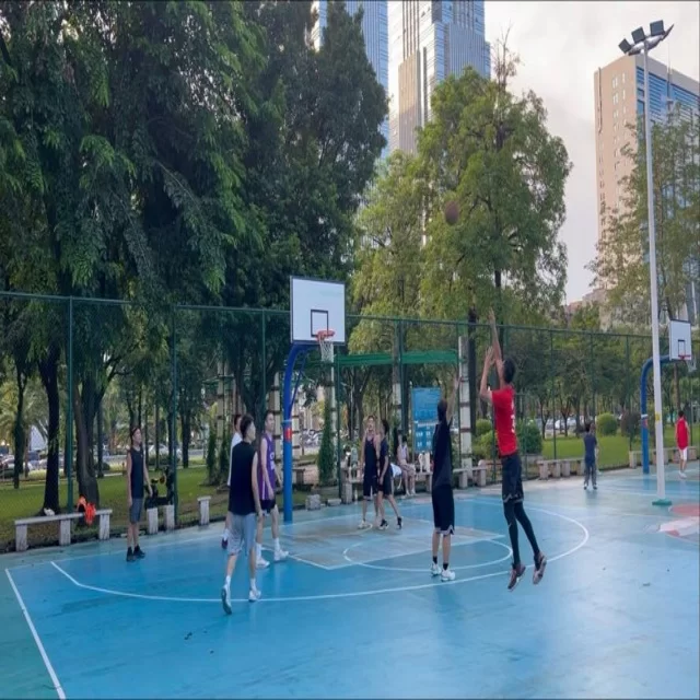 数据解读篮球季后赛走势与第121组分析